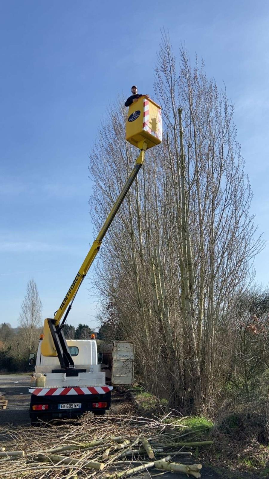 Dorian Renard — Artisan élagueur dans le 72 (Sarthe)